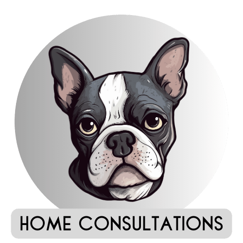 Dogs Day Out Knysna Home Consultations