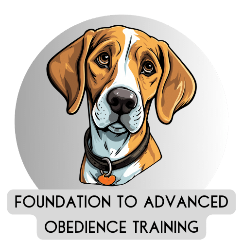 Foundation to advanced obedience training