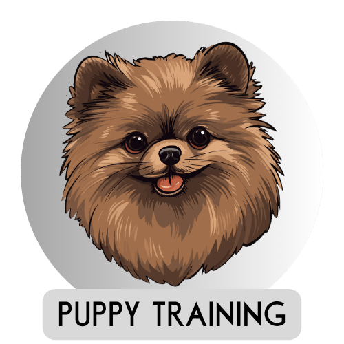 Puppy Training