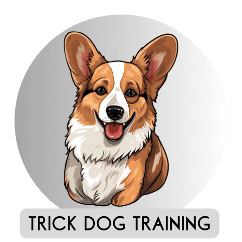 Dogs Day Out Knysna Trick Training